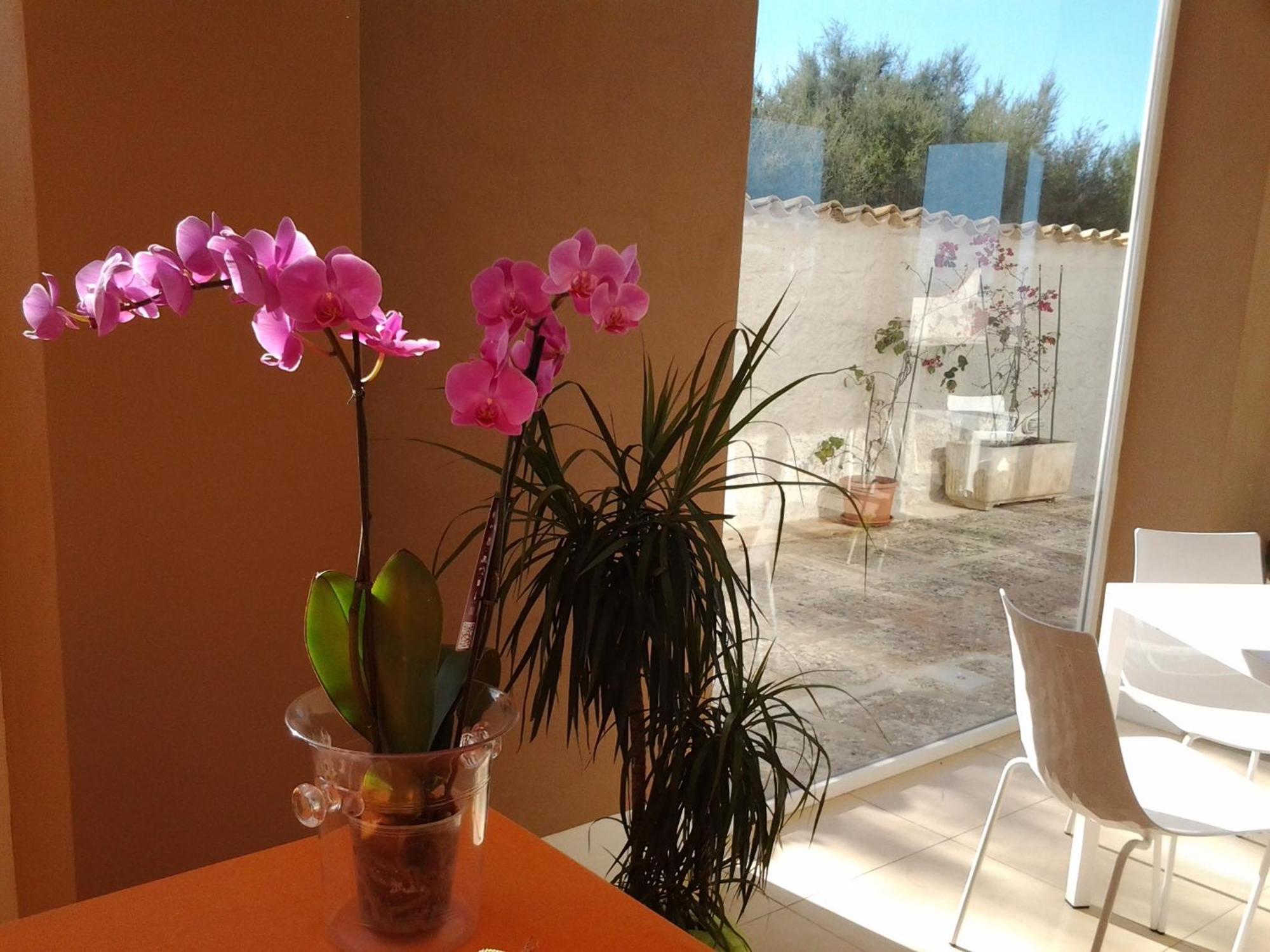 مارسالا Suitebeach B&B And Resort المظهر الخارجي الصورة